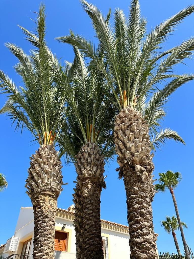 Casa De Familia Vera Coast Dış mekan fotoğraf