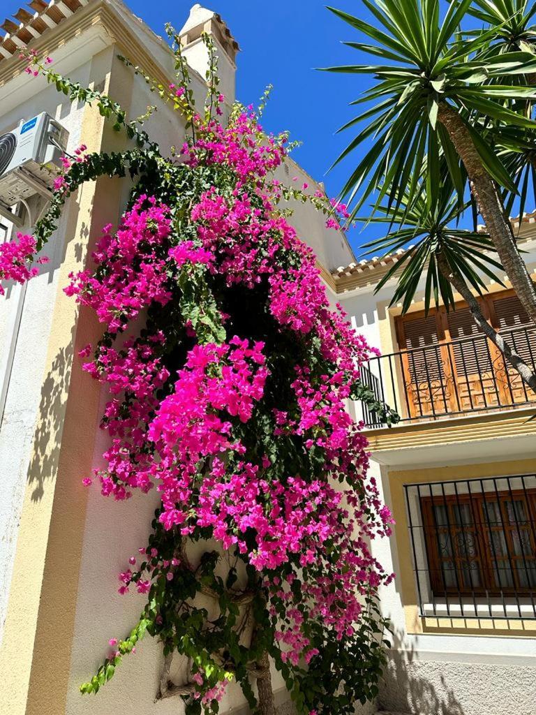Casa De Familia Vera Coast Dış mekan fotoğraf