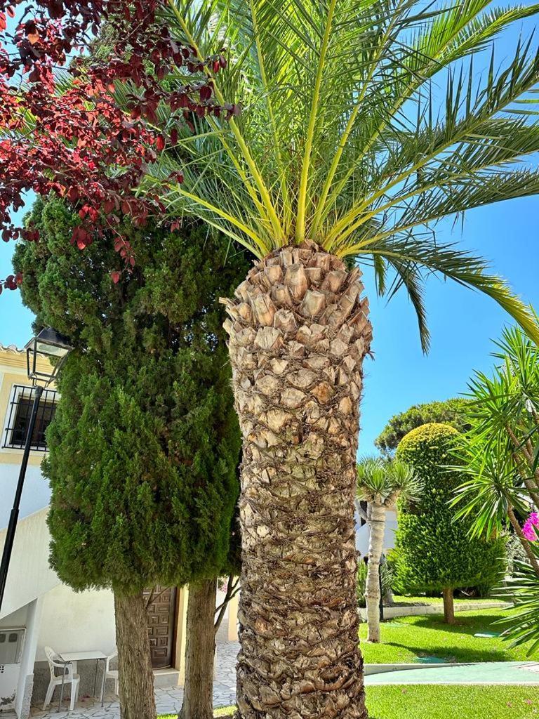 Casa De Familia Vera Coast Dış mekan fotoğraf